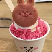 COCOの画像