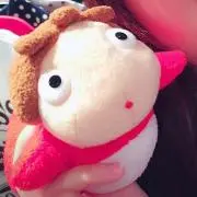 ぽにょの画像