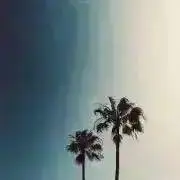 ココナッツ
