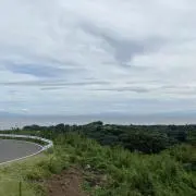 ぴょん