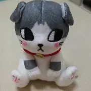 ぶんちゃんの画像