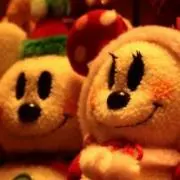 ぴかつよの画像