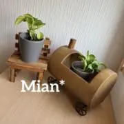 Mian* 即購入OKです♩の画像