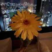 リーフの画像
