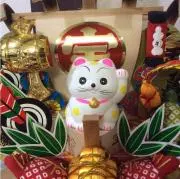 ぴろちゃんの画像