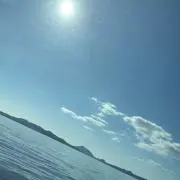 瑠委の画像