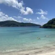 トリクシーの画像