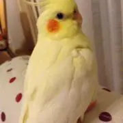 にいな⭐︎