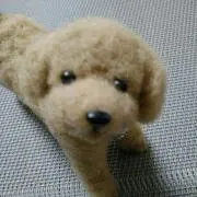 maron .cの画像
