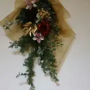toroの画像