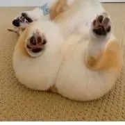 n⚠︎プロフ必読の画像