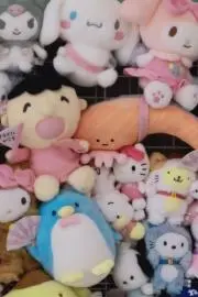 まめしば(猫)の画像