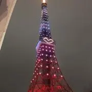 さくら⭐︎プロフィール確認もお願いしますの画像