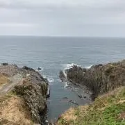 おかめの画像