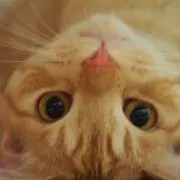 milomama 絶賛断捨離中！！の画像