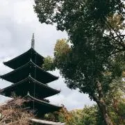 Image of KANA