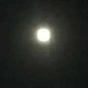 るまるまの画像