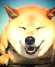 ぽいぽいの画像