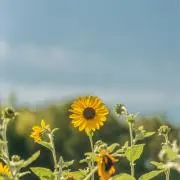 自宅整理中。値下げ交渉歓迎です！！の画像