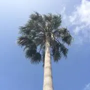 カル