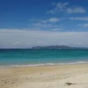 ruru