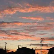 Mの画像