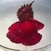 ガッちゃんの画像