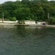 丸