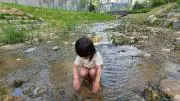 Wowoの画像