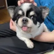 hideの画像