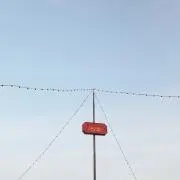 かな