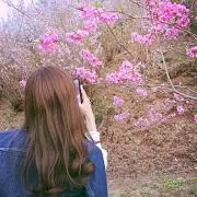waaの画像