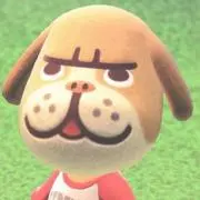 ⭐チャンプ⭐の画像