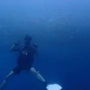 Masaya Nagaiの画像
