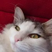 まっちゃんの画像