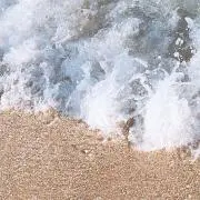 PECHANの画像