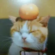 パママの画像