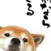 マンツーマンの画像