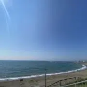 はるさめの画像
