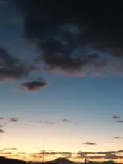 かわせみの画像