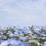 Sの画像