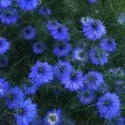mt☆の画像