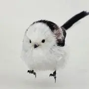 おもちの画像