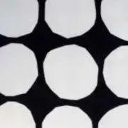 かたつむりの画像