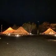 ぴーたんの画像
