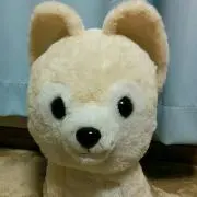 ふわちゃん
