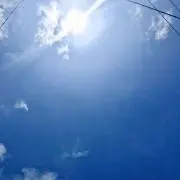 いちの画像