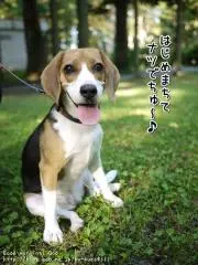 アッキー