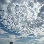 みみの画像