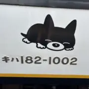 たろたろ
